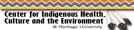 Center for indigenous health, culture and environment logo