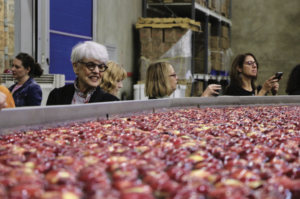 A woman looks over an apple processing machine