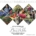A collage of images of people