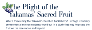 A text-based infographic titled "The Plight of the Yakamas' Sacred Fruit" discussing threats to the Yakamas' cherished huckleberry. It highlights a study by Heritage University environmental science students aimed at helping save the fruit on the reservation and beyond, featuring decorative blueberry illustrations.