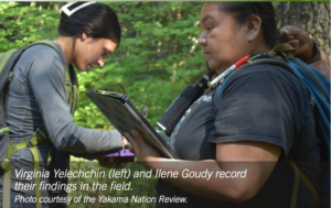 Photograph showing two women in a forest setting, one holding a tablet and the other writing or recording data. The scene captures fieldwork activity focused on documenting findings, highlighting teamwork and use of technology in environmental or scientific research.
