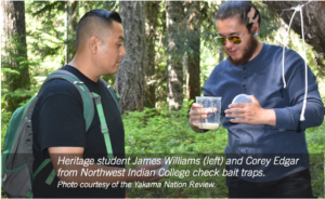 Photograph showing two men outdoors in a forested area examining bat traps, one holding a clear container with a liquid. The scene highlights a hands-on environmental or wildlife study involving Heritage student James Williams and Corey Edgar from Northwest Indian College.