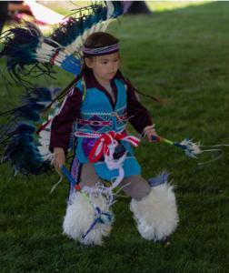 Photograph of a young Native American dancer performing traditional dance on grass. The child wears vibrant regalia including a feathered bustle, blue and purple vest, fur leggings, and holds decorated sticks, highlighting cultural heritage and ceremonial significance.